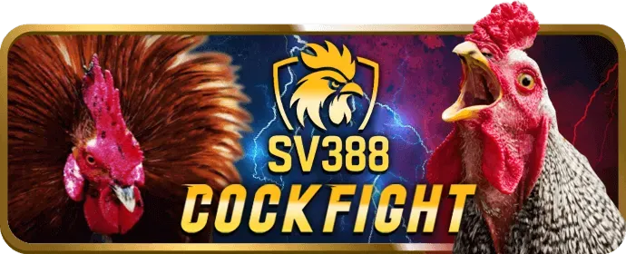 Giao Diện Thân Thiện so79 win